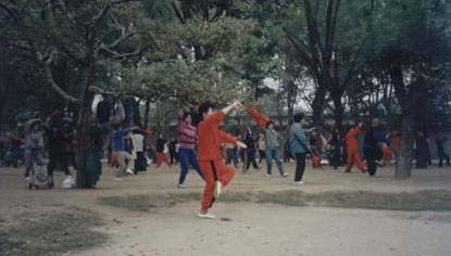 a large group of qigong practitioner gathered in a park to pracice
